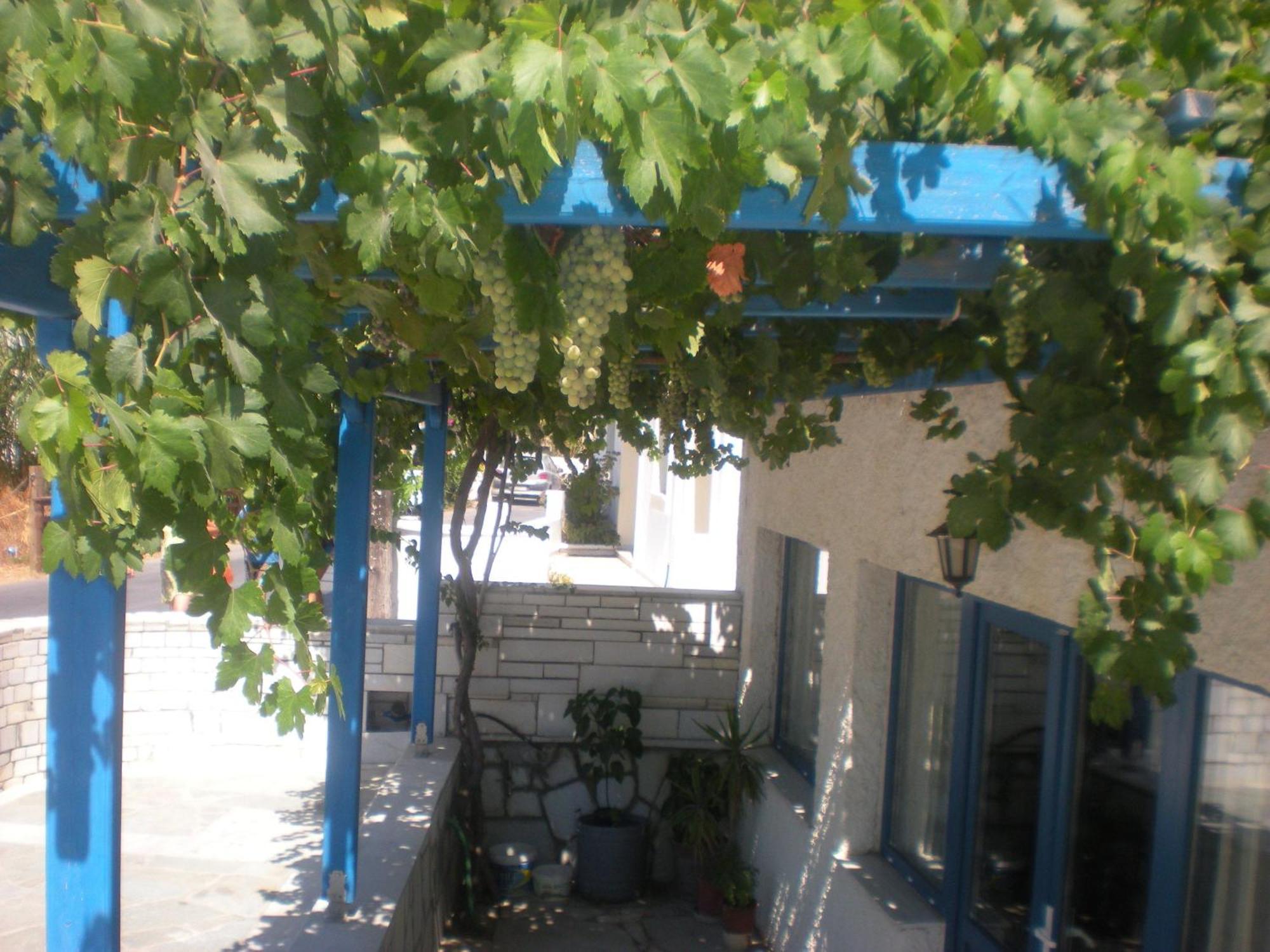 Naxos City Hotel Rea מראה חיצוני תמונה